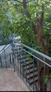 Apartment Petrovac - 3