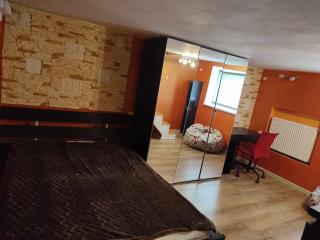 Apartament z ogródkiem i miejscem do grillowania - Danzig - 6