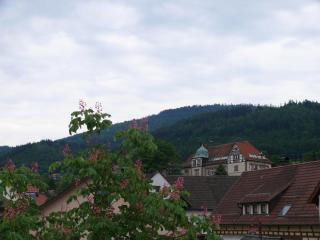 Hotel - Restaurant - Metzgerei Sonne - 9