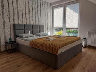 Wakacyjne SPA Małe Swornegacie nad trzema jeziorami z jacuzzi - 2