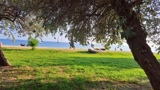 Beachfront apartment 10m from the beach - Paralia Dionysiou - 0
