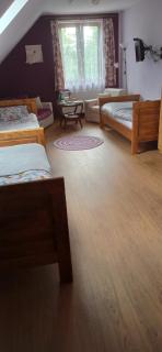 Gandelinka Park Kędrzyno - 2