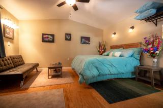talkeetna villas and tours - Talkeetna - 6