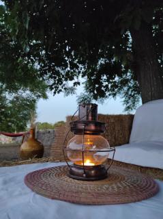 Masseria Helianthus - Ceglie Messapica - 3