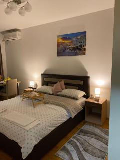 Apartman NS Dan CENTAR - Novi Sad - 4