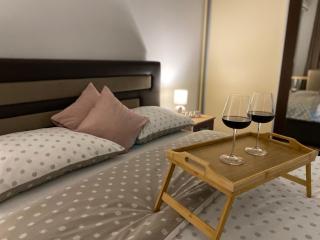 Apartman NS Dan CENTAR - Novi Sad - 1