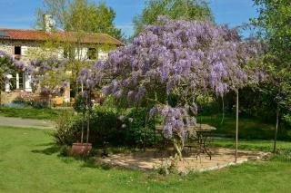 La Frapperie - La Pommeraie-sur-Sèvre - 6