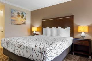 Best Western Redondo Beach Galleria Inn Hotel - Beach City LA - Redondo Beach - 4