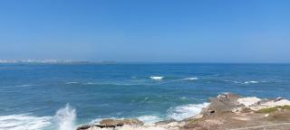 Pequena Baleia - Ferrel - 2