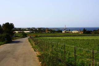 Case PaSeDa - San Vito Lo Capo - 3