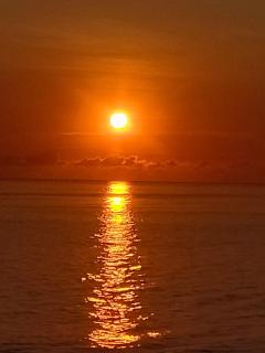 Coral Bay Bungalows Amed Bali - 1