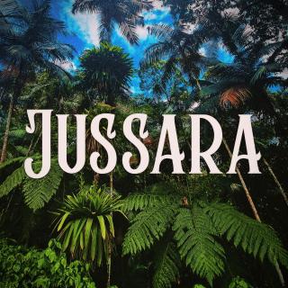 Pousada Jussara Cultural - Joinville - 9