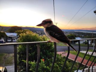 Bateau Bay Family Escape - Magical sunset views - Bateau Bay - 9