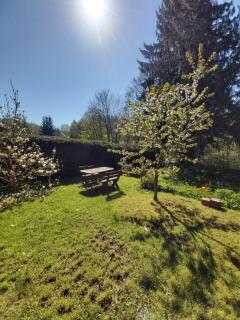 Alte Forsterei - Altenbrak - 4