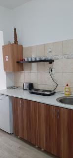 Apartman TATTOO R - Negotin - 2