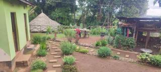 Mai Kilimanjaro Home Stay - Marangu - 7