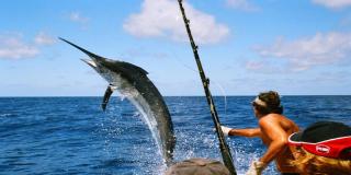 Crowne Plaza Hotel & Resorts Fort Lauderdale Airport/ Cruise by IHG - Fort Lauderdale - 1