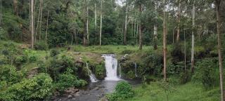 Mai Kilimanjaro Home Stay - Marangu - 9