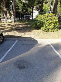 luxueux appart moderne et spacieux, parking plage - Carry-le-Rouet - 3