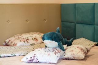 Shark Kingdom - Katowice - 2