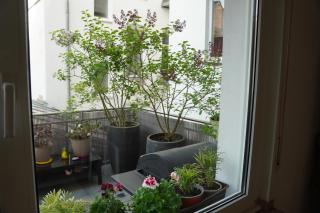 Bright, spacious apartment with a lovely terrace in the heart of Aachen - Aachen - 7