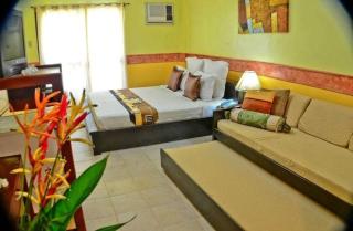 Crystal Paradise Resort Spa & Winery - Narra - 4