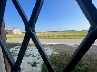 B&B Antica cascina - Boretto - 6