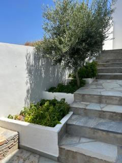 Gioia’s view - 5