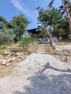 Sarı Konak Butik Otel - Gure - 7