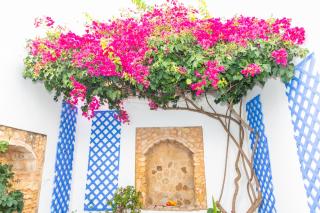 Casa Marinero - Patio Andaluz - Barbate - 2