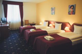 Grein Hotel - Rzeszów - 9