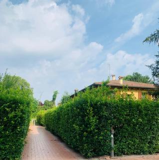 Appartamento tra verde e città - Bologna - 7