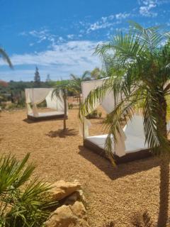 Cosy Guest House - Villa das Alfarrobas - Algoz - 3