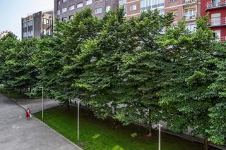 Apartamento Luca - Gijón - 7