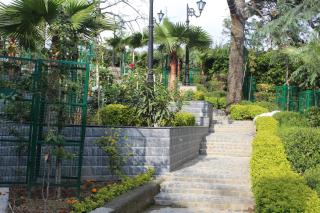 Dhauladhar Heights Resort - Dharamshala - 1