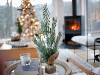 trähus tremblant - 9