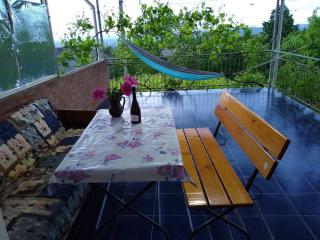 2 Bedroom House with a terrace - Vadul lui Vodă - 8