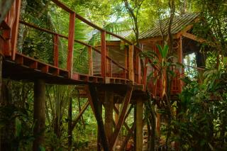 Tukulolo Treehouses - 5