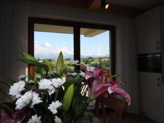 Apartament Nad Tatrzańską Pasieką - Biały Dunajec - 4