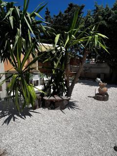 Appartamento Verbena - 1