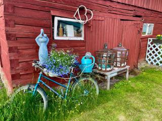 Villa Blue Heaven Pärnu - Pärnu - 5