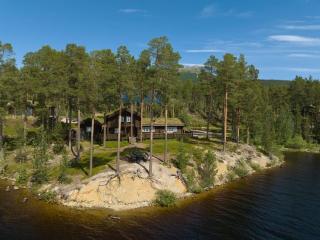 Lyxigt timmerhus i fjällen, Lofsdalen, Hjortehytta - Lofsdalen - 4