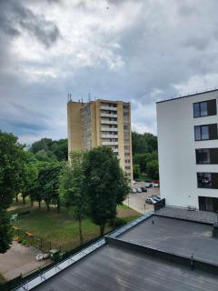 Prie Vilneles Apartment - 5