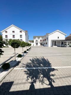 Krystal Boutique Mansion - Hunedoara - 3