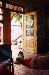 Red Goat Hostel - Tirana - 6