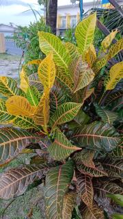 4 seasons mini house - 6