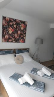 Flowers in the Center - Oradea - 8