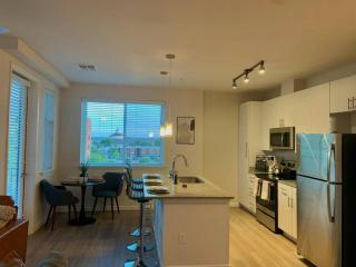 Contemporary Cozy Apartment - Baltimore - 5