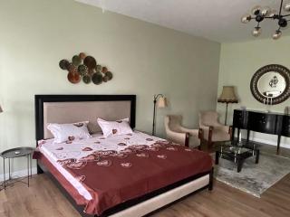 CozyFlat in the central Arad - Arad - 7
