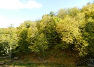 Tsaghkahovit Hotel - Tsachkadzor - 5